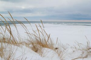 Check out the beach in South Haven