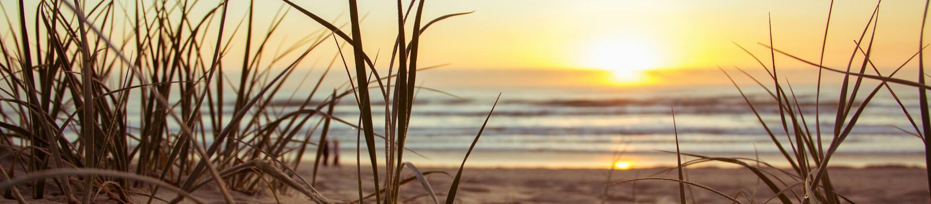 10 Reasons to Pick Beachwalk Properties for Your Lake Michigan Management Services