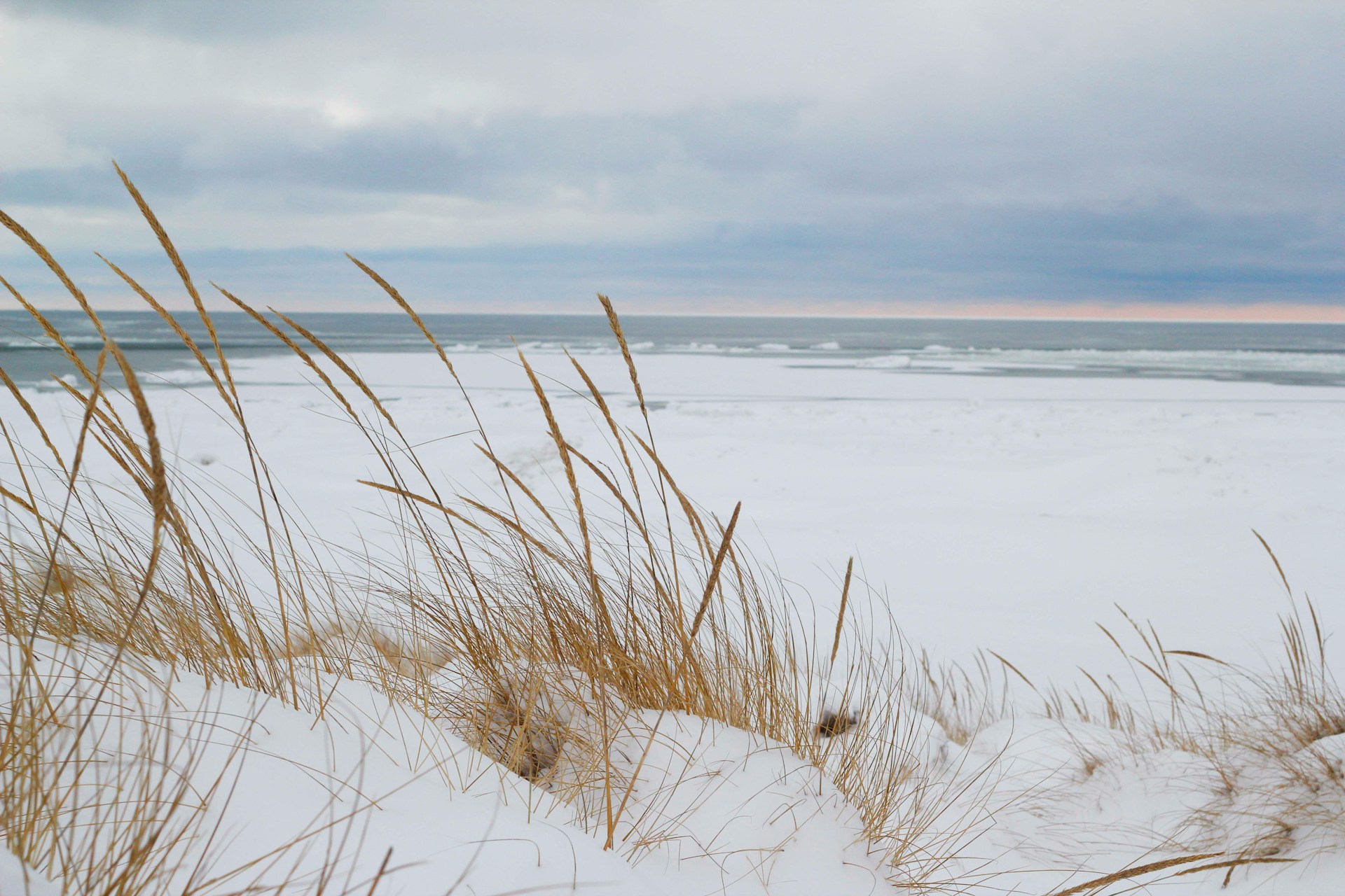 Plan a Kid-Friendly Summer Vacation in South Haven