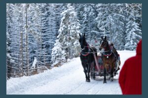 Horse Drawn Sleigh