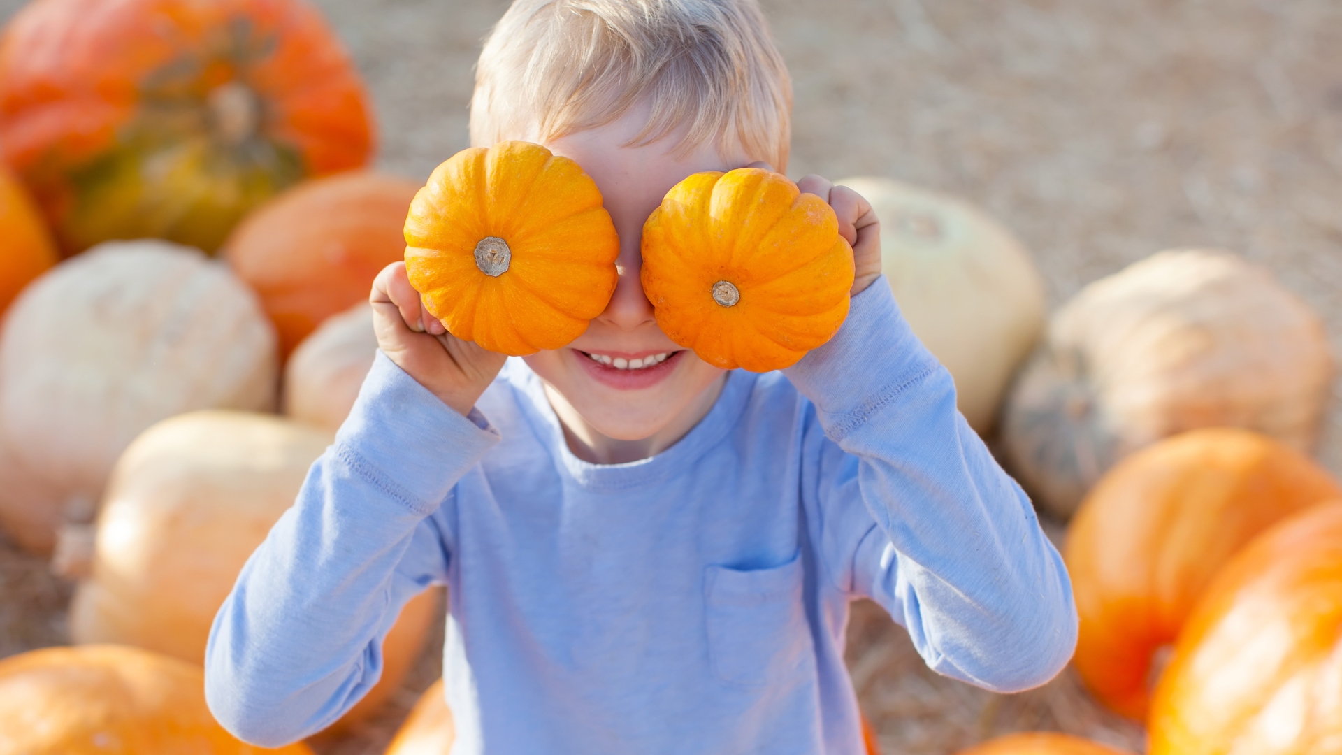 Fall Festival at Bumbleberry Acres