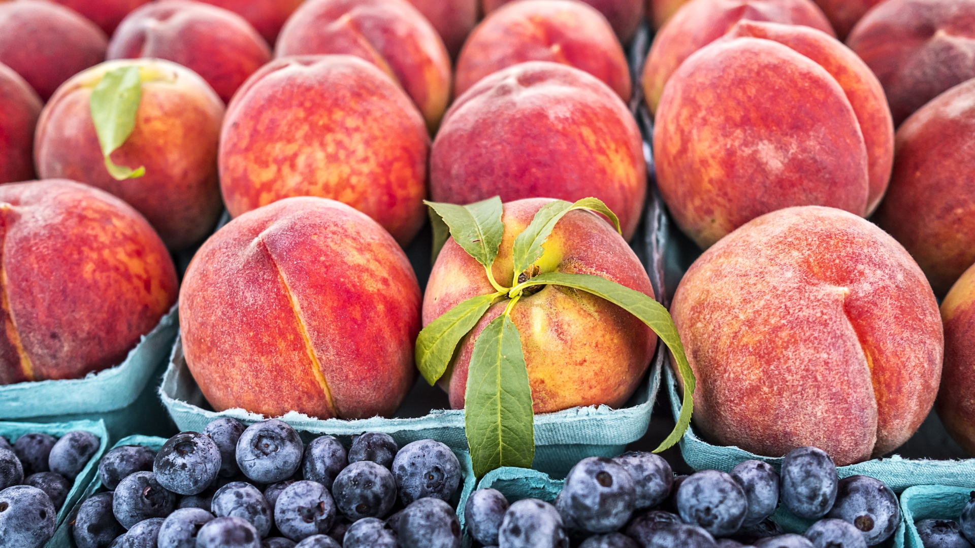South Haven Farm Market